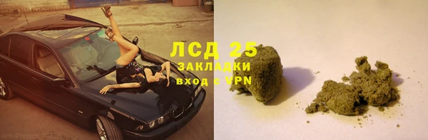 ПСИЛОЦИБИНОВЫЕ ГРИБЫ Алзамай