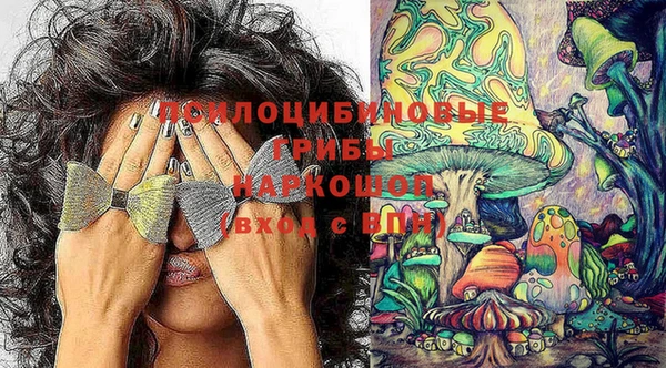 шишки Алексеевка