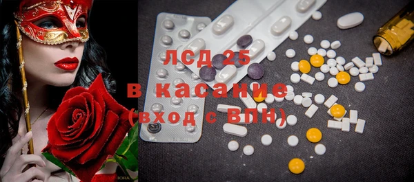ПСИЛОЦИБИНОВЫЕ ГРИБЫ Алзамай